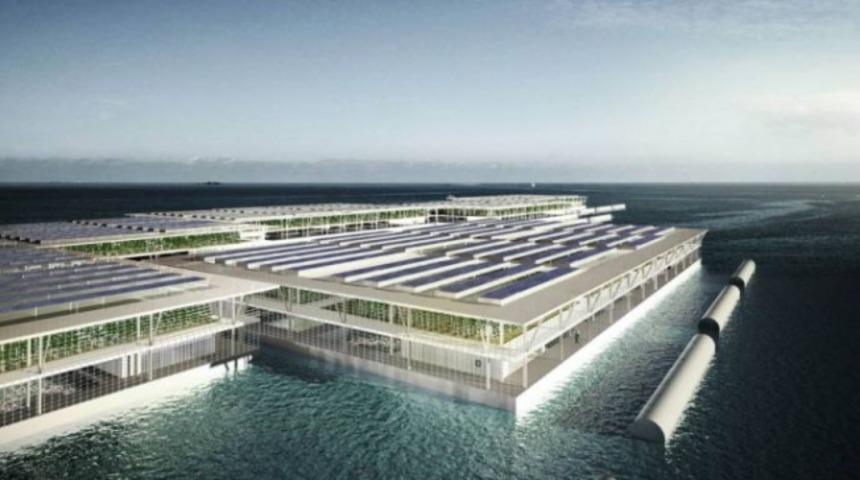 Y&uuml;zen Tarlalar D&uuml;nyanın Gıda Sorununa &Ccedil;&ouml;z&uuml;m Olabilir mi?