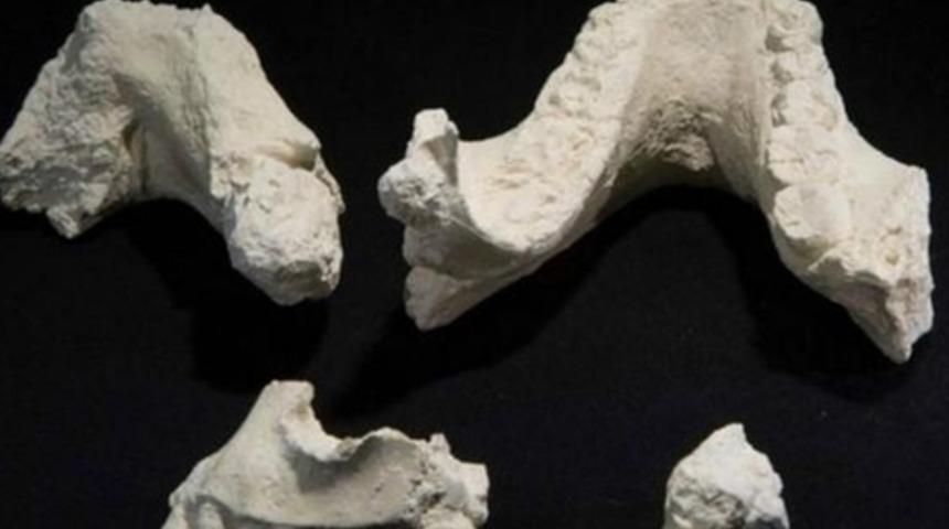 Etiyopya'da 'Yeni' Bir İnsan Türü Bulundu