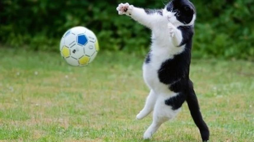 Sevdiğiniz Spor Hakkınızda Ne Anlatıyor?