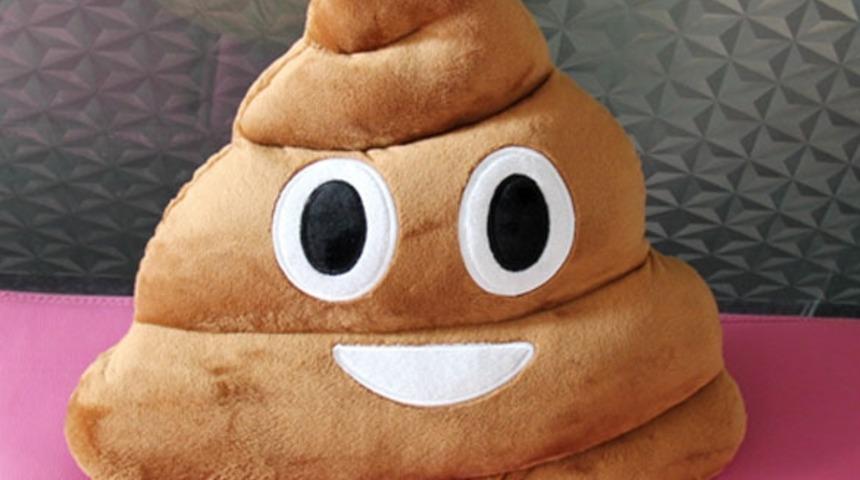 Bu Kadın Kaka Emoji Yastığı İle İlişki Yaşıyor