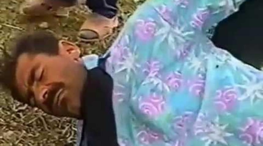 Vine Fenomenleri ''Hayvan Gibi'' 