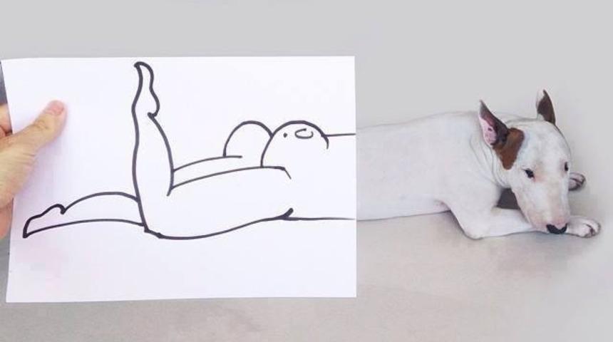 Illustrat&ouml;r Sahibiyle Birlikte &Uuml;nl&uuml; Olan K&ouml;pek