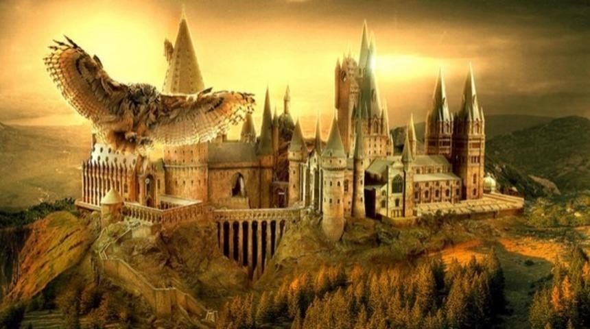 Yeni Harry Potter Filminde, Amerikan Hogwarts'ıyla Tanışacaksınız!