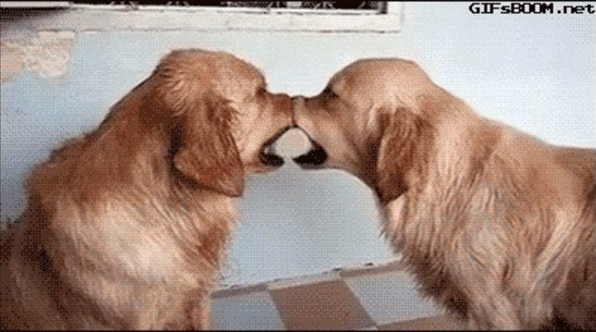 Son G&uuml;nlerde En &Ccedil;ok Paylaşılan Videoların En Can Alıcı B&ouml;l&uuml;mleri Burada! 