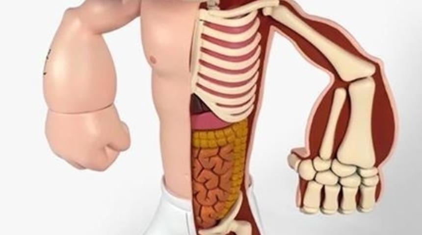 &Ccedil;izgi Film Karakterlerinin Oyuncak Fig&uuml;rlerinin İ&ccedil; Organları Olsaydı, Anatomik Kesitleri Nasıl G&ouml;z&uuml;k&uuml;rd&uuml;?