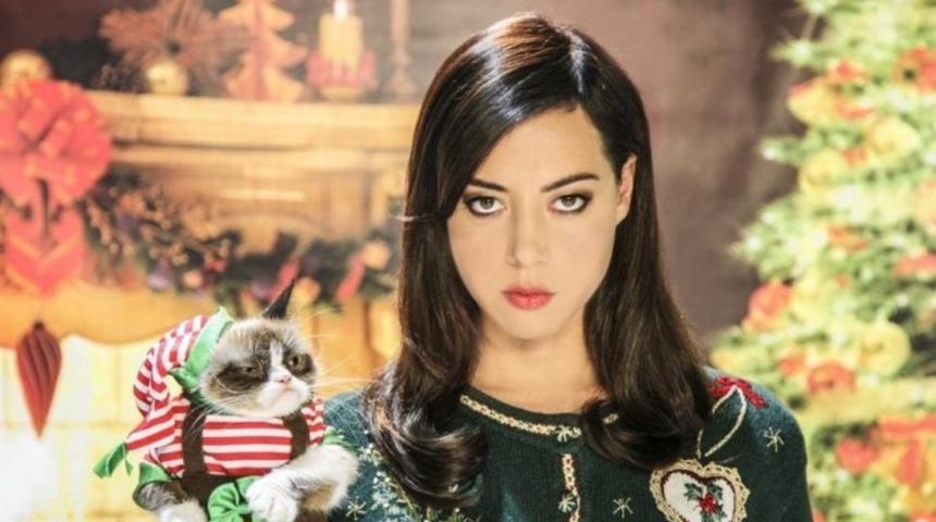 Dev Kediler: Ge&ccedil; Ama Hızlı Gelen Ş&ouml;hret - Aubrey Plaza