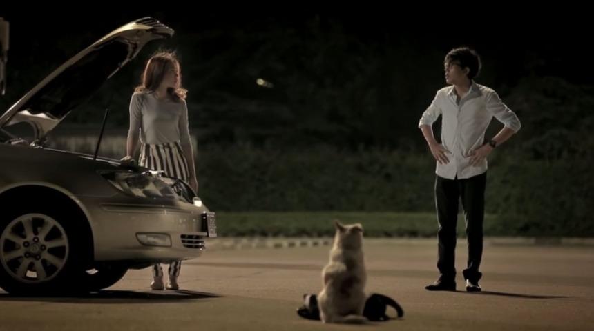 Sizin K&ouml;peğiniz Size Randevu Ayarlayabiliyor Mu? Bu K&ouml;pek Yapıyor!