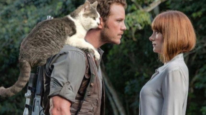 Biri Jurassic Park'taki Tüm Dinazorların Yerine Kedi Koydu