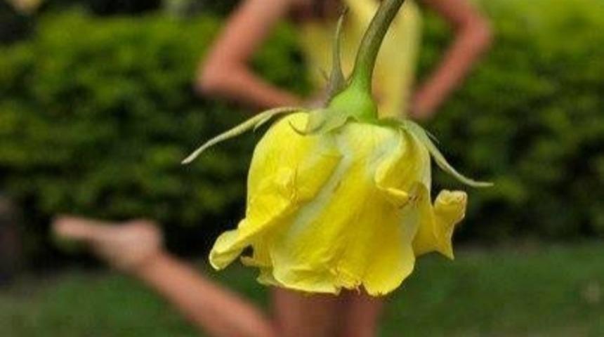 Her An Her Yerde Karşınıza &Ccedil;ıkabilecek &Ccedil;i&ccedil;eklerle Dalından Koparmadan Kendi Modanızı Yaratabilirsiniz! 