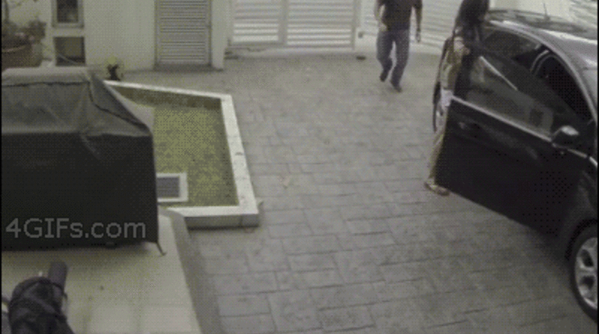 Beceriksizlik Konusunda Aşmış 10 Saftirik Hırsız