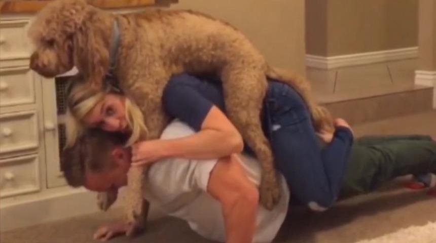 Köpeklerini Dumble Olarak Kullanan Evli Çift