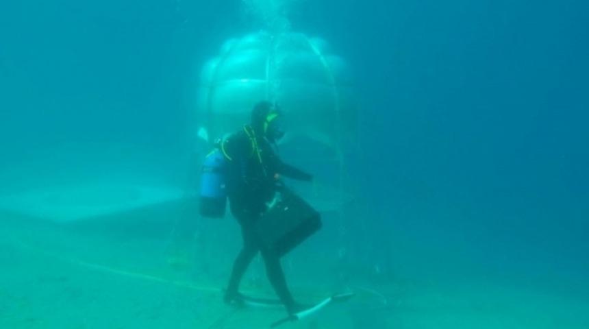 Su Altında Çilek Üreten Sıradışı Deneysel Tarım