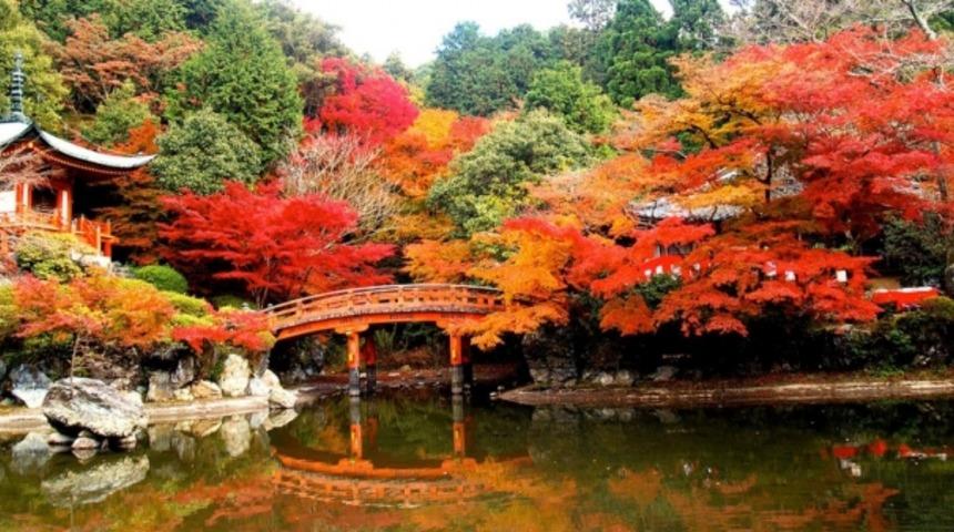 D&uuml;nya'nın En G&uuml;zel Şehirleri Belirlendi. İstanbul Bakın Ka&ccedil;ıncı Sırada?