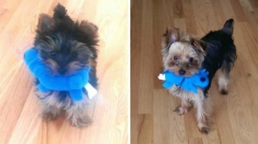 Hangi Oyuncağı Alırsanız Alın Her Zaman En &Ccedil;ok İlk Oyuncaklarını Sevecekler