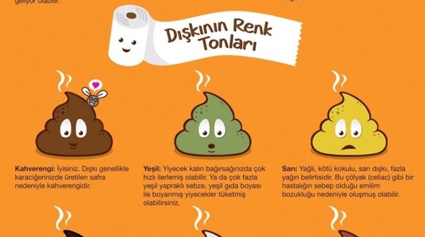 Dışkınızı Ne Kadar İyi Tanıyorsunuz?