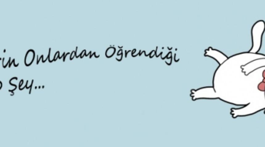 Kedi Severlerin Farkında Olmadan &Ouml;ğrendiği 10 Durum! 