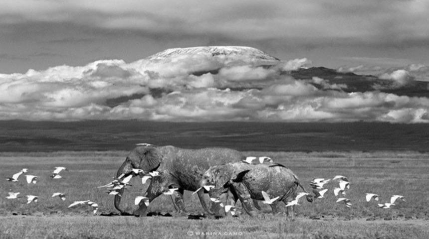 Dolu Dolu Yaşamak İ&ccedil;in Yavaşla