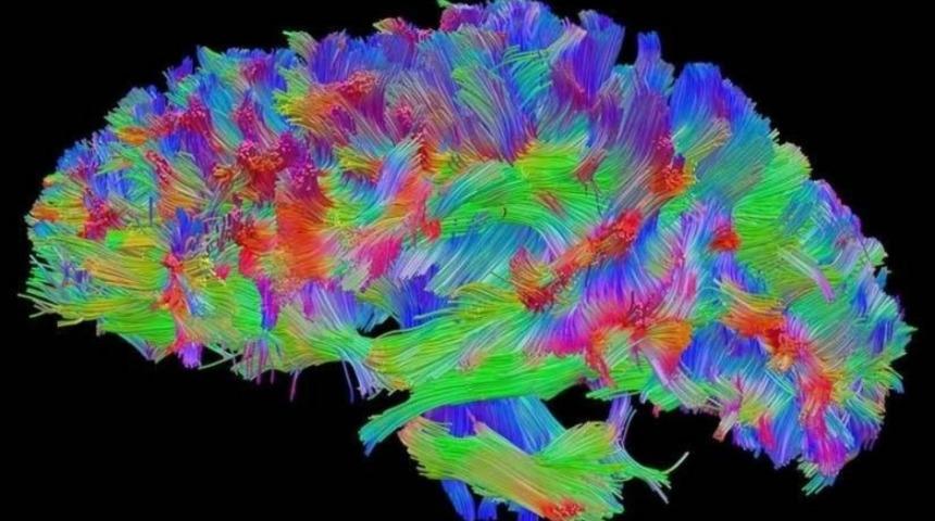 Bilinmese de Olur &Ouml;zelliğinde Ama İlgin&ccedil; Olan 14 Bilimsel Ger&ccedil;ek