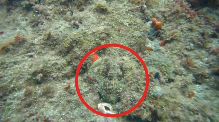 Bu Noktaya İyi Bakın,  Saniyeler İ&ccedil;inde Beliren Şeyi G&ouml;r&uuml;nce &Ccedil;ok Şaşıracaksınız!