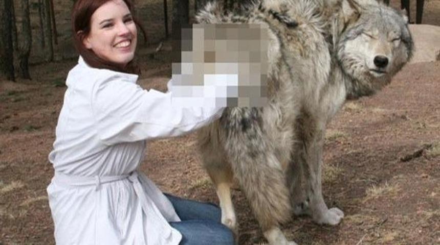 Normal Fotoğraflara Uygulanan Gereksiz Sans&uuml;r&uuml;n Ger&ccedil;ekle Alakasız &Ccedil;ağrışımlara Neden Olduğu 25 Fotoğraf