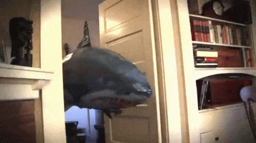 Siz Hi&ccedil; U&ccedil;an Balık G&ouml;rd&uuml;n&uuml;z M&uuml;?