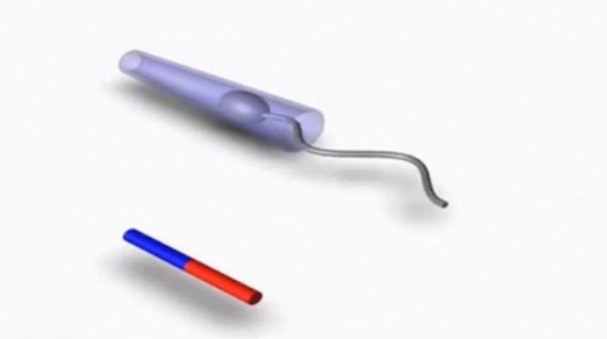 Tıbbın Yeni Mucizesi Sperm Motorlu Robotlar