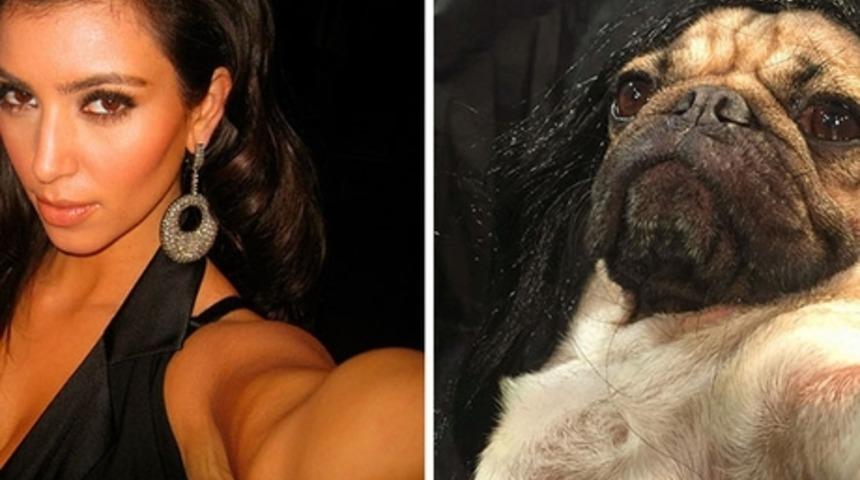 K&ouml;pek Doug, Seksi Kim Kardashian Selfie'lerini Taklit Ediyor