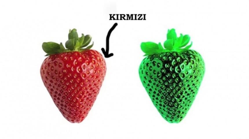 Senin ''Kırmızı'' Dediğinle Benim ''Kırmızı'' Dediğim Aynı Mı?