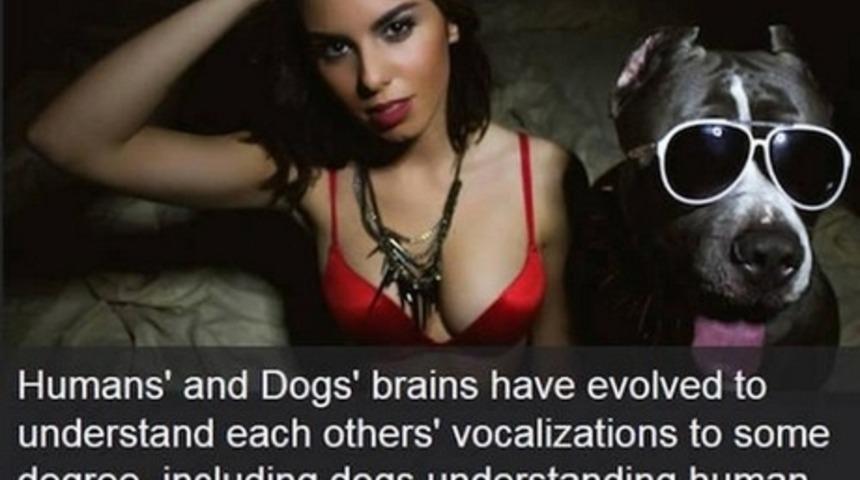 &Ccedil;oğu Kişinin Daha &Ouml;nce Duymadığı 20 İlgin&ccedil; Şey