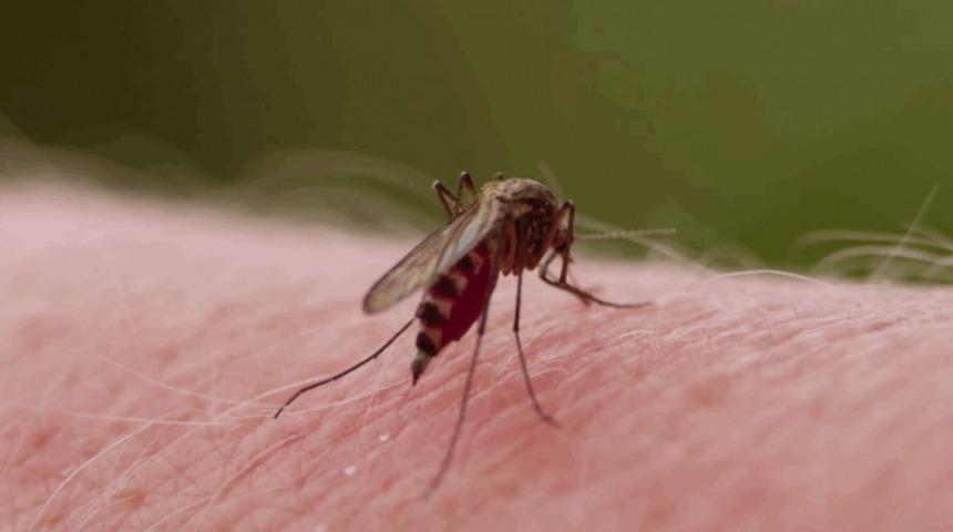 Kutlayacak Şey Bulamayınca İcat Edilen Sa&ccedil;ma G&uuml;nler