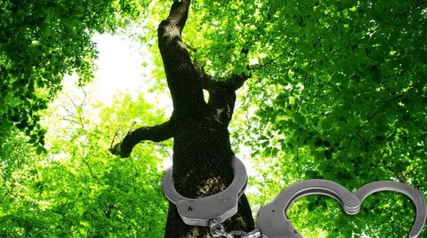 Ekşi S&ouml;zl&uuml;k Yazarlarından Bir T&uuml;rk Askeriye Efsanesi: Nesnelere Ceza Vermek