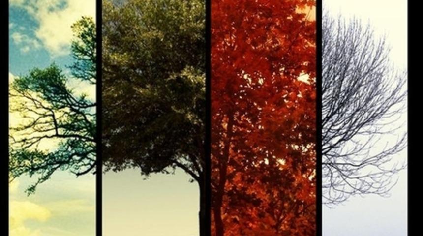 Hangi Koku Tam Sana Göre?