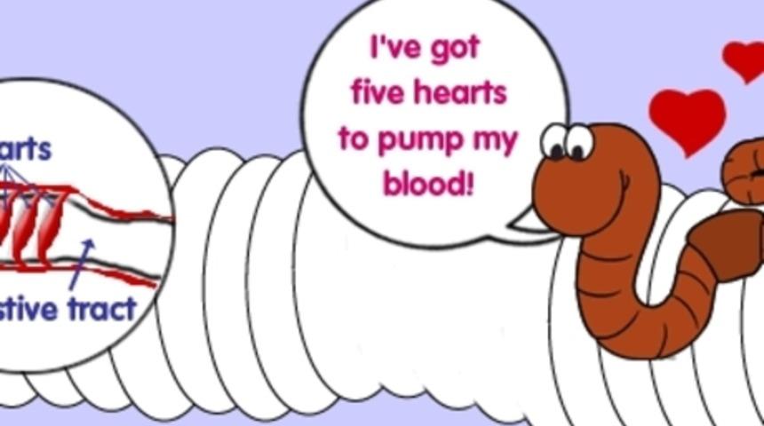 G&ouml;z&uuml;n&uuml;z&uuml;n &Ouml;n&uuml;nde Olan Ama Bilmediğiniz 14 Şey