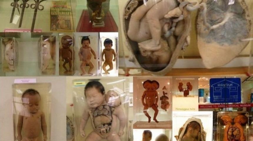 Dünyanın En Garip 10 Müzesi