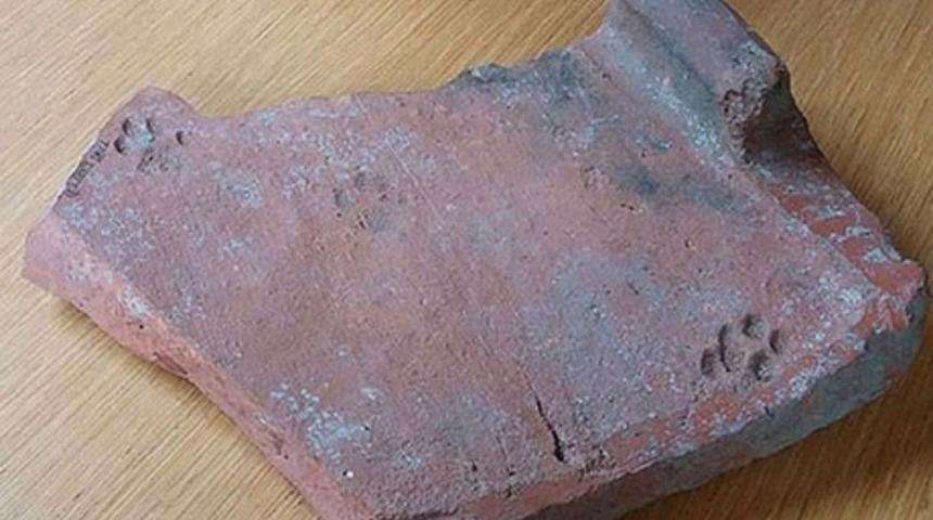 Kedilerin Umursamazlığından Nasibini Almış Tarihi Eserler