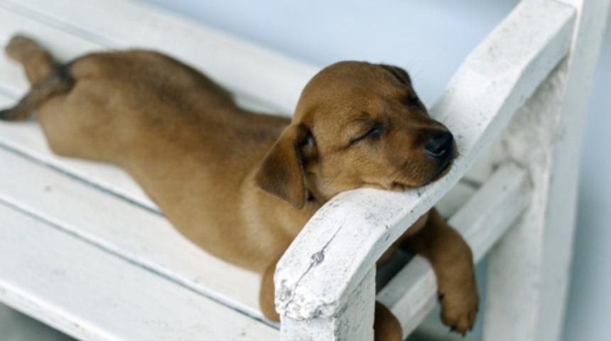 Canınız Hi&ccedil;bir Şey Yapmak İstemediğinde Dinleyebileceğiniz Şarkılar