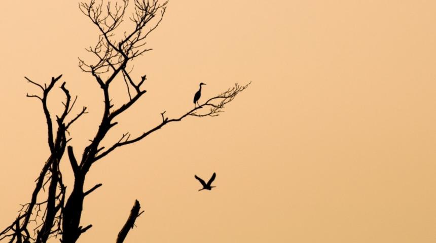 S&ouml;ylemesi Kadar Okuması Da Bir O Kadar Zor Olan, Kimi Zaman G&uuml;ld&uuml;ren Kimi Zaman Sinir Bozan 30 Tekerleme