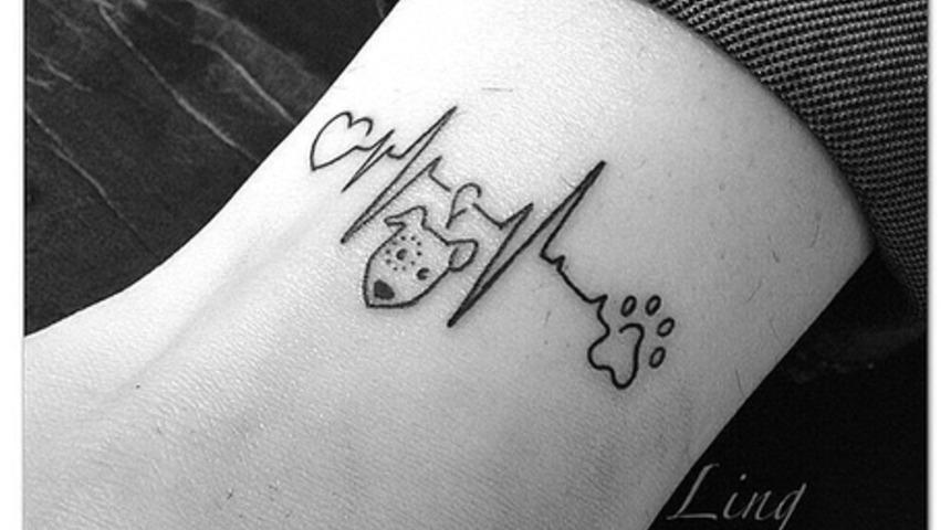 Kedi ve K&ouml;pek Severler İ&ccedil;in M&uuml;kemmel 30 D&ouml;vme 