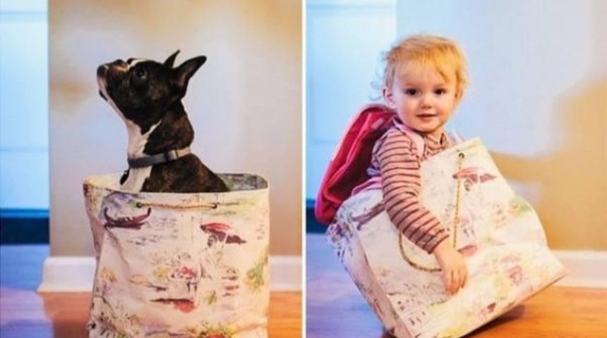 Kanadalı Anneden Köpeğine Ve Bebeğine Aynı Tarife. Şirinlikten Ölen 11 Fotoğraf!