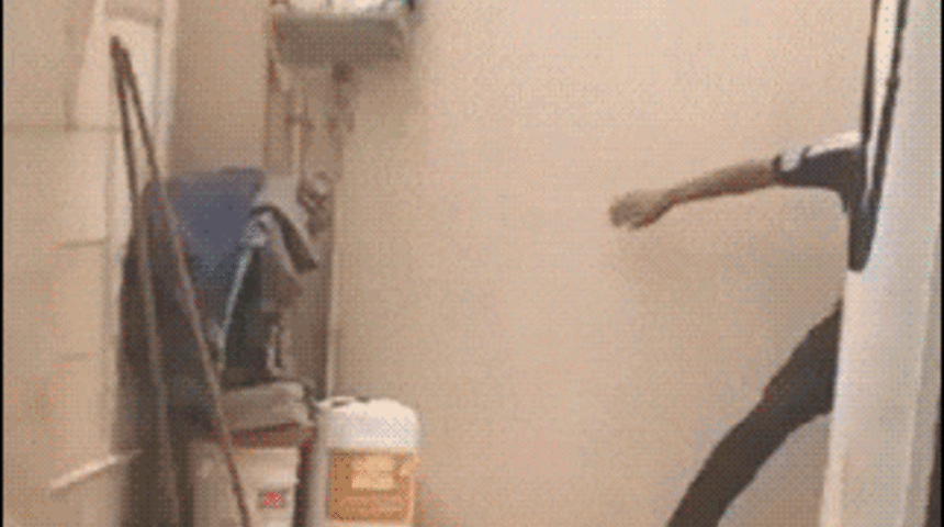 Hayvanların Bazen Hınzırlıkta &Ccedil;ığır A&ccedil;tığının Kanıtı 17 S&uuml;per Eğlenceli GİF