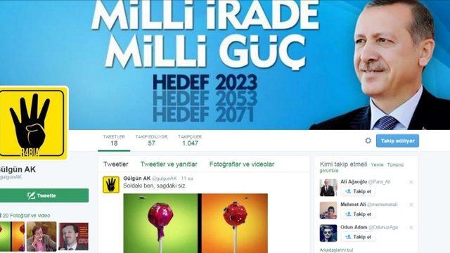 Troll Mü Gerçek Mi Olduğunu Anlayamadığımız Twitter Kullanıcısı: Gülgün Ak