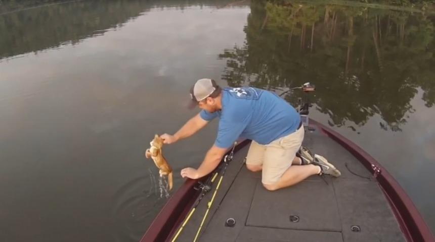 Rastgele: Balık Tutmaya Gitti, Oltasına Yavru Kedi Takıldı!