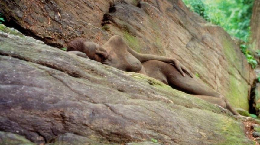 Bu Fotoğraflara Saklanmış &Ccedil;ıplak Modelleri G&ouml;rebilecek Kadar Dikkatli Misin?
