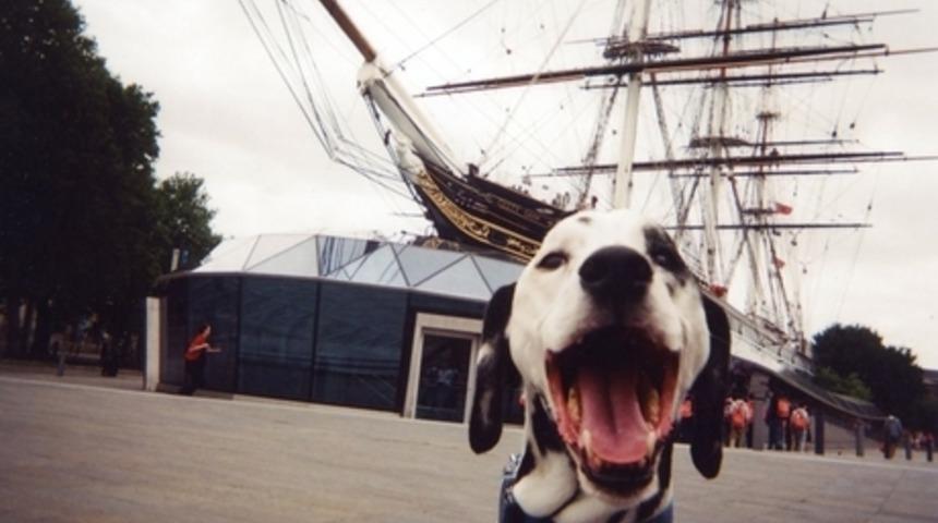 Londra'da 100 Evsiz Kişiye Fotoğraf Makinesi Verildi ve Londra Temalı Fotoğraflar &Ccedil;ekmeleri İstendi