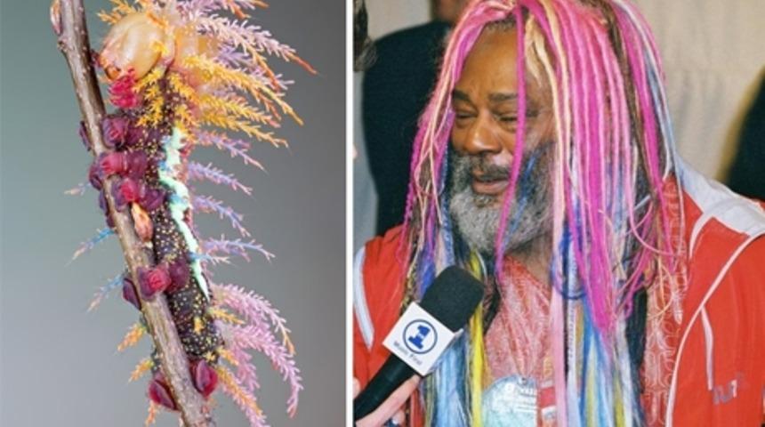 Sizi Olduk&ccedil;a Şaşırtacak 35 Garip Benzerlik 