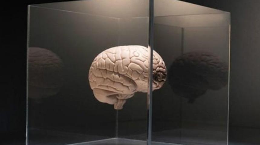 Beyni Yaşlanmaktan Korumanın Altı Yolu