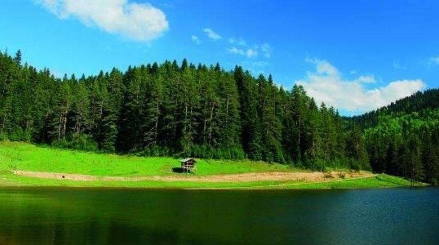 &Ouml;lmeden &Ouml;nce Gidip Nefes Almanız Gereken, D&uuml;nya &Uuml;zerindeki 100 &Ouml;zel Ormandan Biri: Yenice