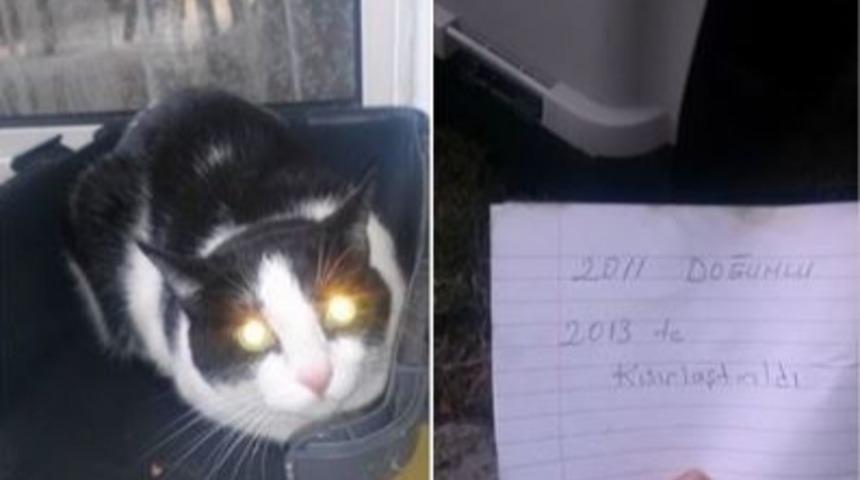 Cami &Ouml;n&uuml;ne Bebek Bırakmaktan Sonra Bunu Da G&ouml;rd&uuml;k: Kapı &Ouml;n&uuml;ne Kedi Bırakmak!