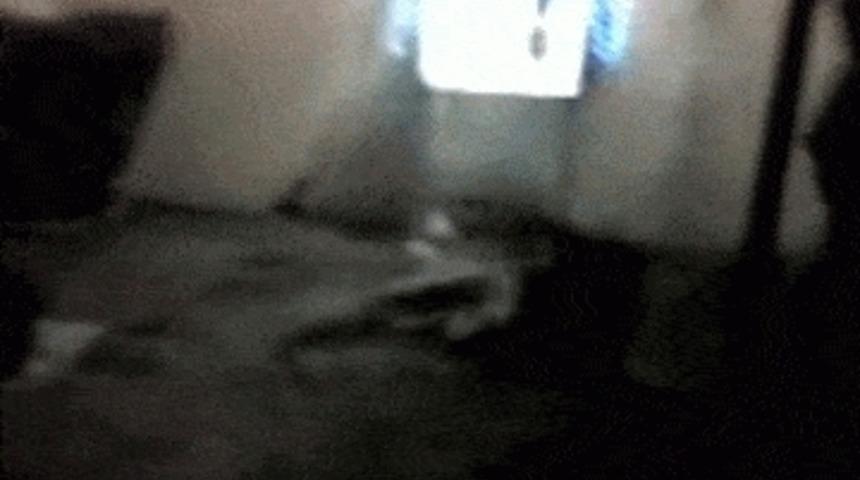 Cinler Hakkında İnanamayacağınız 10 Bilgi Ve Akıl Almaz G&ouml;r&uuml;nt&uuml;ler! 