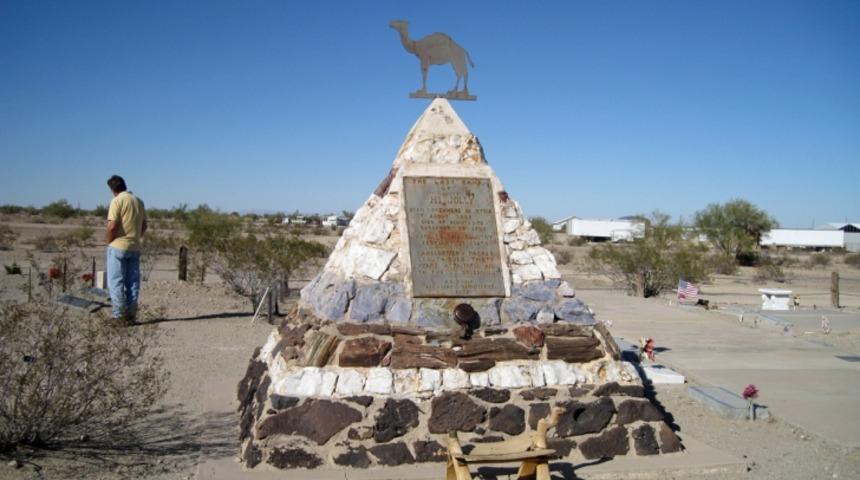 T&uuml;t&uuml;n &Uuml;r&uuml;nleri Hakkında Hi&ccedil; Duymadığınız 10 Acı Ger&ccedil;ek